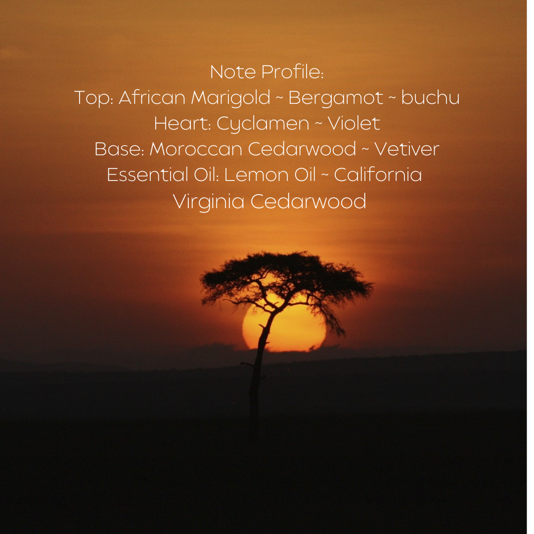 SAFARI DREAMS 12 oz. Candle